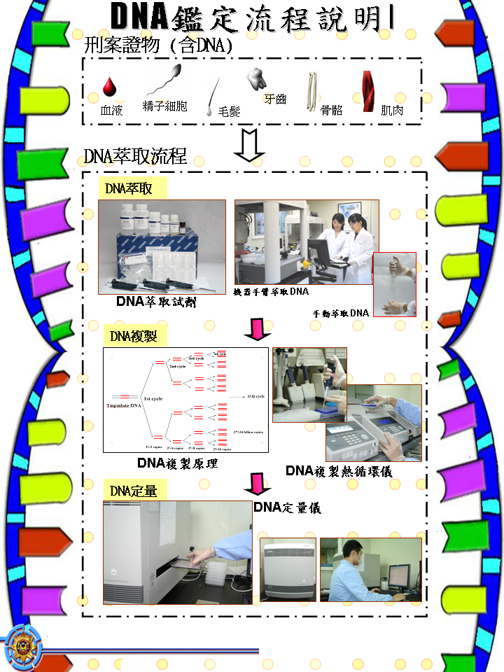 DNA萃取流程