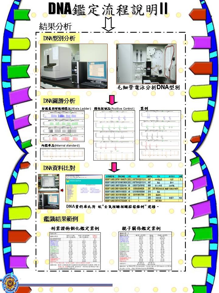 DNA結果分析